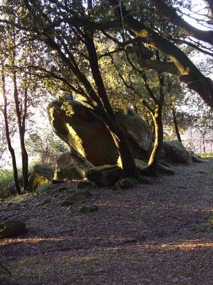 Area archeologica di Pietramarina Masso del diavolo Carmignano