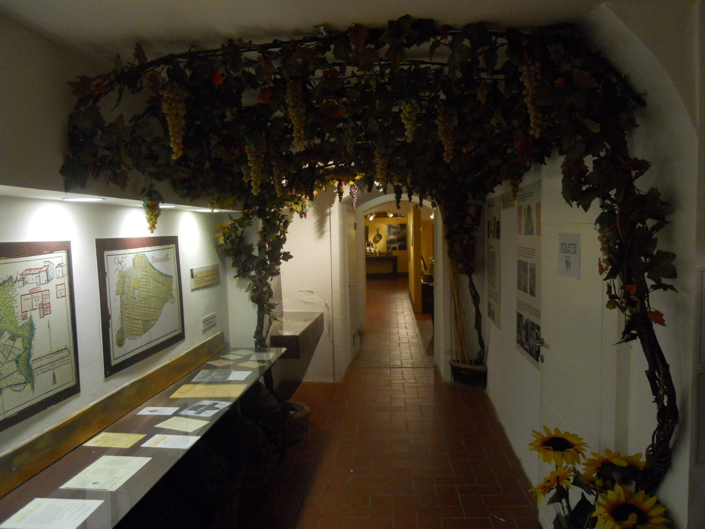 Museo della Vite e del Vino Carmignano