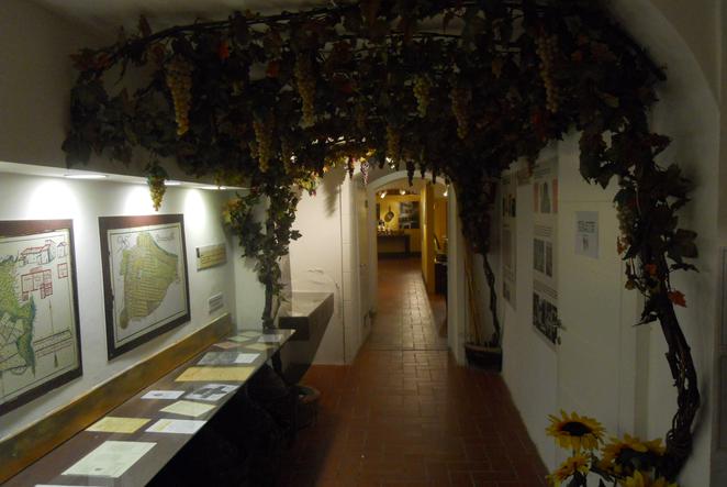 Museo della Vite e del Vino Carmignano